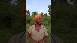 Swabhiman area of malkangiri#youtubeshorts #malkangiri