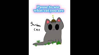 Pause to see what Cat you Are! #art #artist #foryou