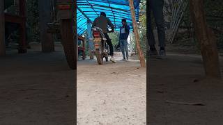 Chachi ke Mayke ja rhe hain ||#vlog #villagevlog #gaon #minivlog #kewato #travel #shorts#viral