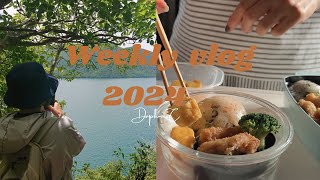 Weekly diary🪵JUNE | house clean before rainy season | best gyutan lunch  | first trekking in Nikko