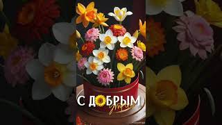 Доброе утречко 😊💖Всё будет хорошо💝 Отличного настроения💞