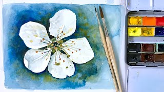 Aquarellmalen für Anfänger: eine Kirschblüte malen