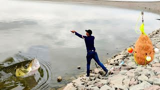 Hook Fishing Video | Fishing Tricks | Dam Fishing | Village Fishing | Indian Fishing | Fish Catching