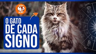 QUAL GATO COMBINA COM SEU SIGNO? (DESCUBRA)