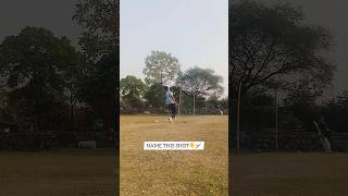 🥵 Name & Rate this Shot 🏏👇| #cricket #cricketshorts #trending #youtubeshorts