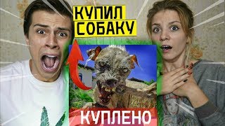 Я КУПИЛ ЖУТКУЮ ЖИВУЮ СОБАКУ С ДАРКНЕТ И ЭТО НОРМАЛЬНО (СТРАШНО)