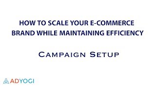 Strategies to Scale E-Commerce Brand - Initial Campaign Setup