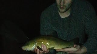 Autumn Tench Fishing Catch And Release