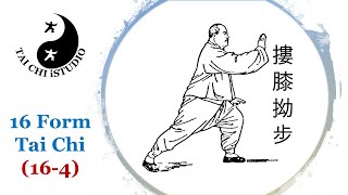 16 Form Tai Chi (16-4, Brush knee)